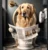 25590be1fdbb4b50b063a7f950e1bb46tplv-photomode-image-cover4800q70-7yRvf1