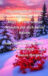 9a7171a242d54be591aa118d3632aa81tplv-photomode-comet-cover4800q72-hmmUIU