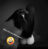 fb37cc8e81e44fa0bb84e83cf7e2a8catplv-photomode-image-cover4800q72-SN2sai