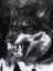 oUWWkiB8REFTKIUe1NiIxQBAZBEgL15WjpfoFWtplv-tiktokx-cropcenter-q300400q72-KpxVL6