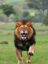ocAZhAI7ImEBYBKHFPZawEcgyRSNMii7vBrWmtplv-tiktokx-cropcenter-q300400q72-tPpaX5