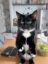 okvcfBh0S3LP2XtvDKLIAnGdI9AjxetgQZeOI7tplv-tiktokx-cropcenter-q300400q72-KEVUUV