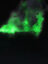 owDBZUfDAecRoFVEvbzBA8kzE2IFEEMgRHTWHbtplv-tiktokx-cropcenter-q300400q72-jArtB7