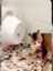 o4cRxiEc4uL3XTkXEvalDegQDfAuFFIcXB9pYQtplv-tiktokx-cropcenter-q300400q72-dsqkBU