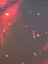 oMSdHDFMpeFd0HMNB8FEgRDmEjARKINQQVfYkXtplv-tiktokx-cropcenter-q300400q72-bTWToc
