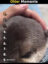 okTCXmiwrIBO5yCArPowfXiD0BIXI9mCySgMlAtplv-tiktokx-cropcenter-q300400q72-Lz2u5U
