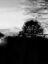 osYzKdKMgIX32nese8MieGVMegrZgoaeAAZLMNtplv-tiktokx-cropcenter-q300400q72-6zUBBl