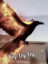 owQjJ2Aw3eVxenMLDA8hXKAIROBEqfhvLLYTWItplv-tiktokx-cropcenter-q300400q72-H3aEcw