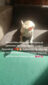 23e128495696437f9663c0db58185d18tplv-photomode-image-cover4800q72-8npIUU
