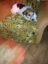 oAVQfhdzIBnIMAbDfu0M8GWjctAWCjogpfsTQGtplv-tiktokx-cropcenter-q300400q72-tHki1K
