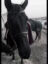 oIf0ozIFCBBu127iLLid5IDyCTc8IwAzxYEy6Atplv-tiktokx-cropcenter-q300400q72-oxwuNb