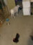 oUMFFKpyDZRmEEMEFLAjYIQDJgLkZgnBcvffZ5tplv-tiktokx-cropcenter-q300400q72-b6ZfNo