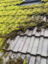 ocuEVwGrwFLeABmoHpyzRNQ6CEIAfD4DIC4RwEtplv-tiktokx-cropcenter-q300400q72-nsLg8k