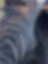 owAEGFW8LDaU7IioseFqAeIEjAvEAIbfIiDTvMtplv-tiktokx-cropcenter-q300400q72-e8C1r3