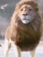 oAH1L3fDIIkhjOSImlnqd9SS6D5AKE0SFBefQAtplv-tiktokx-cropcenter-q300400q72-mzbS1s