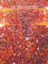 oQIIvLSSyDfVLNGxQe5sbIEAIkkMe3dp6ZNAjbtplv-tiktokx-cropcenter-q300400q72-149AII